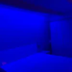 Monica\'S House